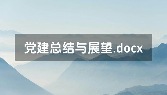 党建总结与展望.docx