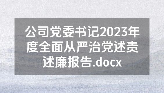 公司党委书记2023年度全面从严治党述责述廉报告.docx