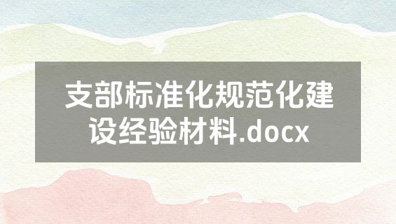 支部标准化规范化建设经验材料.docx