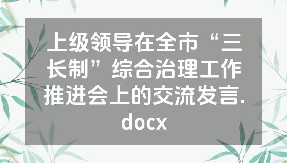 上级领导在全市“三长制”综合治理工作推进会上的交流发言.docx