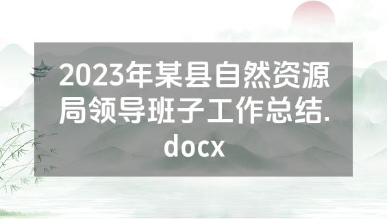 2023年某县自然资源局领导班子工作总结.docx