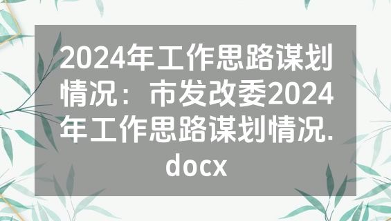2024年工作思路谋划情况：市发改委2024年工作思路谋划情况.docx