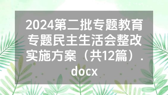 2024第二批专题教育专题民主生活会整改实施方案（共12篇）.docx