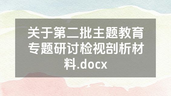 关于第二批主题教育专题研讨检视剖析材料.docx