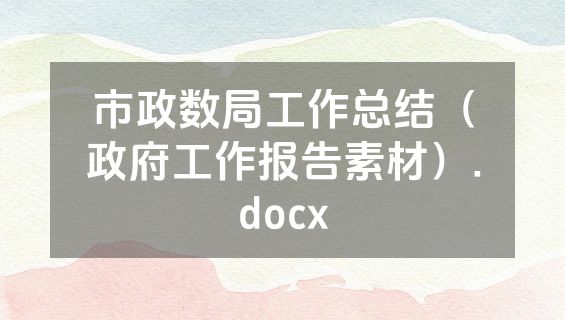 市政数局工作总结（政府工作报告素材）.docx