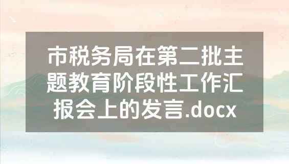 市税务局在第二批主题教育阶段性工作汇报会上的发言.docx