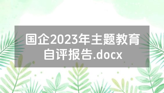 国企2023年主题教育自评报告.docx
