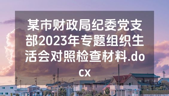 某市财政局纪委党支部2023年专题组织生活会对照检查材料.docx