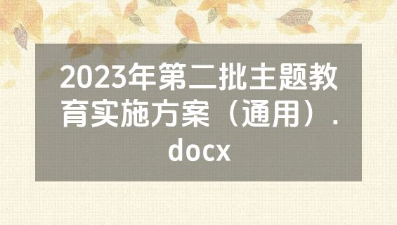 2023年第二批主题教育实施方案（通用）.docx