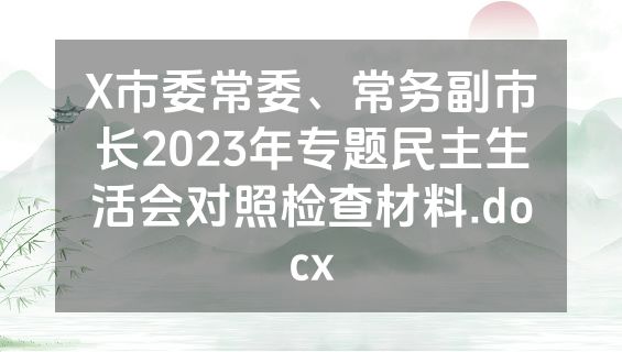 X市委常委、常务副市长2023年专题民主生活会对照检查材料.docx