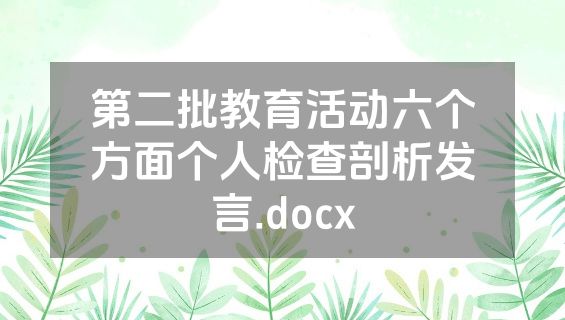 第二批教育活动六个方面个人检查剖析发言.docx
