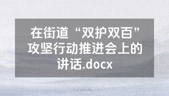 在街道“双护双百”攻坚行动推进会上的讲话.docx