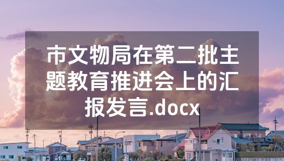市文物局在第二批主题教育推进会上的汇报发言.docx