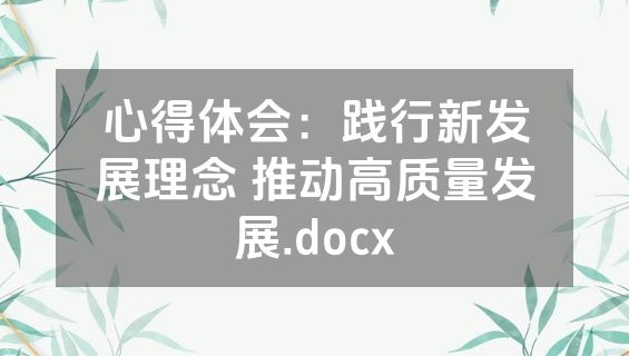 心得体会：践行新发展理念 推动高质量发展.docx