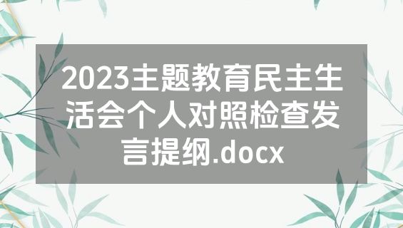 2023主题教育民主生活会个人对照检查发言提纲.docx