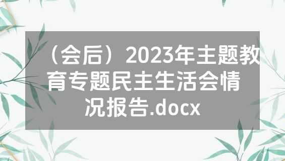 （会后）2023年主题教育专题民主生活会情况报告.docx