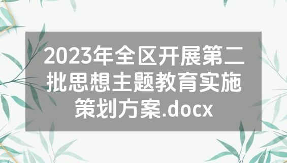 2023年全区开展第二批思想主题教育实施策划方案.docx