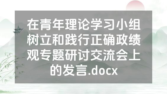 在青年理论学习小组树立和践行正确政绩观专题研讨交流会上的发言.docx