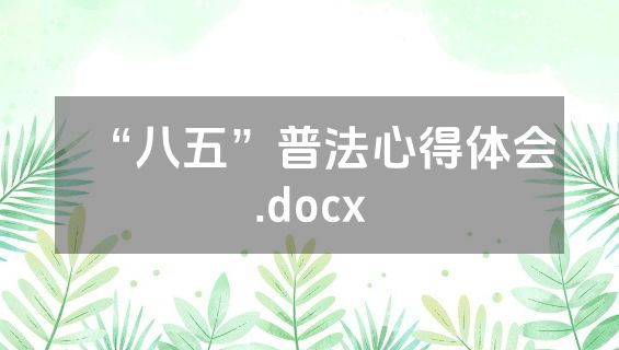 “八五”普法心得体会.docx