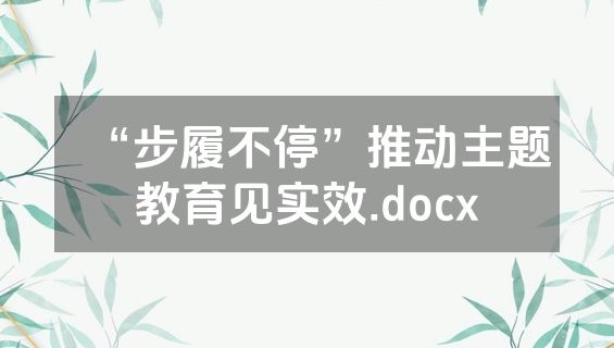 “步履不停”推动主题教育见实效.docx
