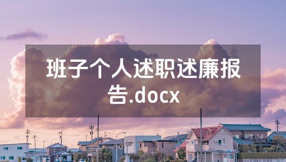 班子个人述职述廉报告.docx