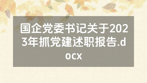 国企党委书记关于2023年抓党建述职报告.docx