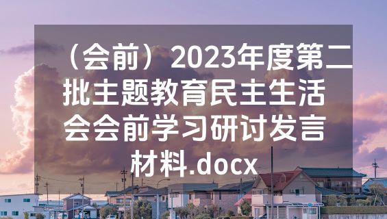 （会前）2023年度第二批主题教育民主生活会会前学习研讨发言材料.docx