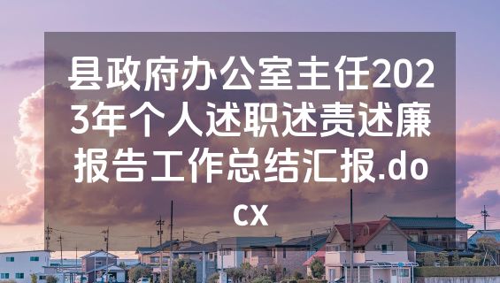 县政府办公室主任2023年个人述职述责述廉报告工作总结汇报.docx
