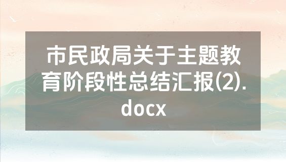 市民政局关于主题教育阶段性总结汇报(2).docx