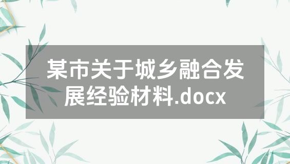 某市关于城乡融合发展经验材料.docx