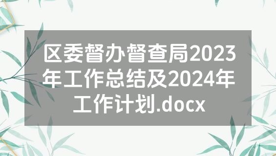 区委督办督查局2023年工作总结及2024年工作计划.docx