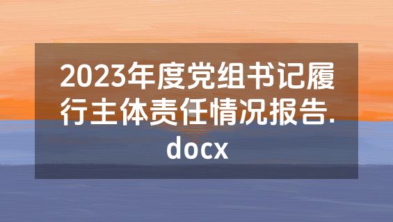 2023年度党组书记履行主体责任情况报告.docx