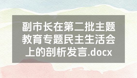 副市长在第二批主题教育专题民主生活会上的剖析发言.docx
