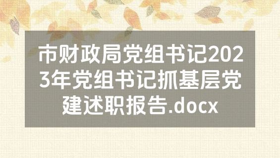 市财政局党组书记2023年党组书记抓基层党建述职报告.docx