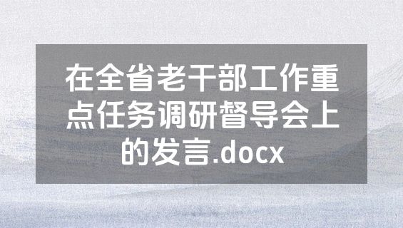 在全省老干部工作重点任务调研督导会上的发言.docx
