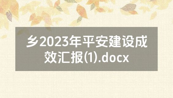 乡2023年平安建设成效汇报(1).docx