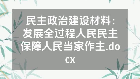 民主政治建设材料：发展全过程人民民主保障人民当家作主.docx