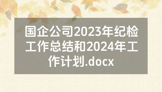 国企公司2023年纪检工作总结和2024年工作计划.docx