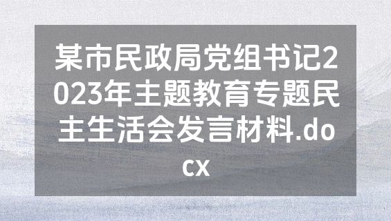 某市民政局党组书记2023年主题教育专题民主生活会发言材料.docx