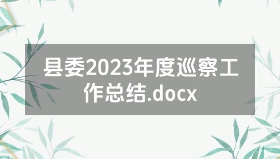 县委2023年度巡察工作总结.docx