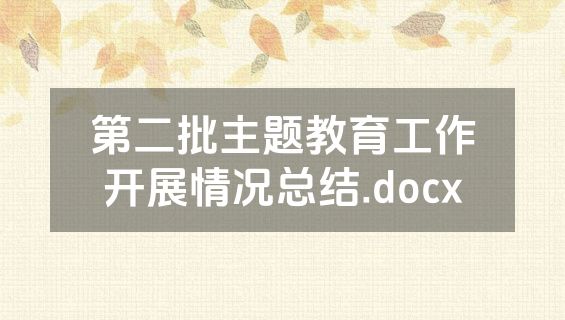 第二批主题教育工作开展情况总结.docx