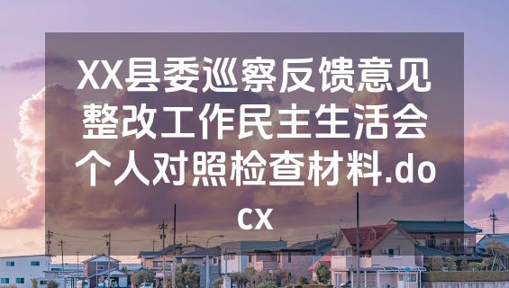 XX县委巡察反馈意见整改工作民主生活会个人对照检查材料.docx
