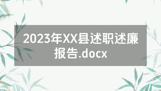 2023年XX县述职述廉报告.docx