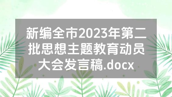 新编全市2023年第二批思想主题教育动员大会发言稿.docx