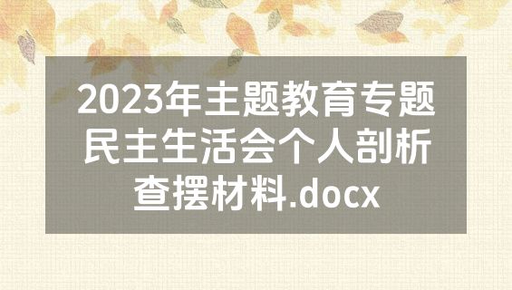 2023年主题教育专题民主生活会个人剖析查摆材料.docx