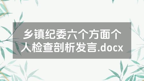 乡镇纪委六个方面个人检查剖析发言.docx