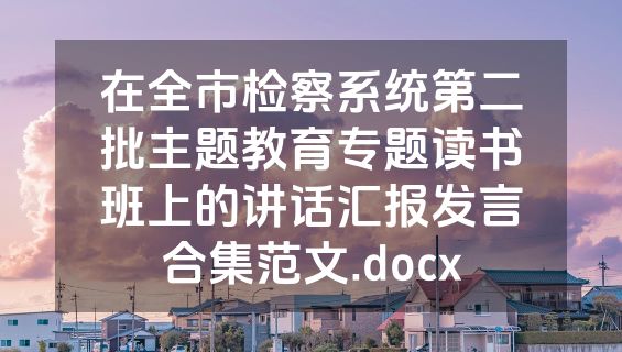 在全市检察系统第二批主题教育专题读书班上的讲话汇报发言合集范文.docx