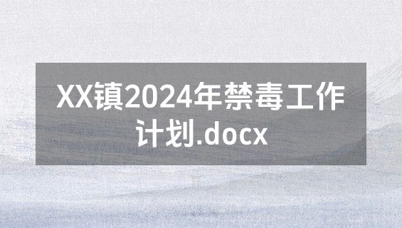 XX镇2024年禁毒工作计划.docx