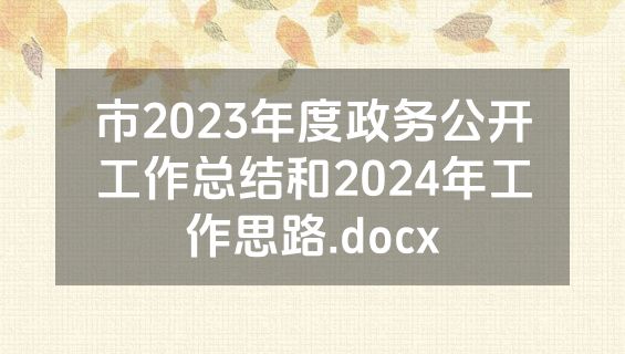 市2023年度政务公开工作总结和2024年工作思路.docx