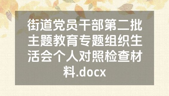 街道党员干部第二批主题教育专题组织生活会个人对照检查材料.docx